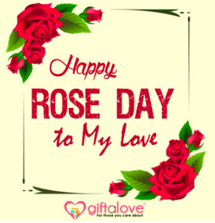 happy rose day