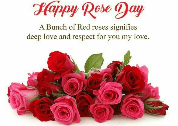 happy rose day images 2024