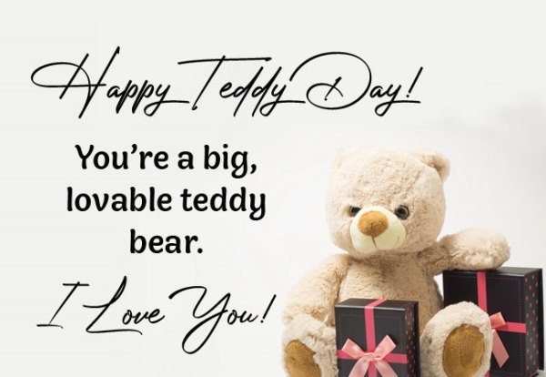 happy teddy day