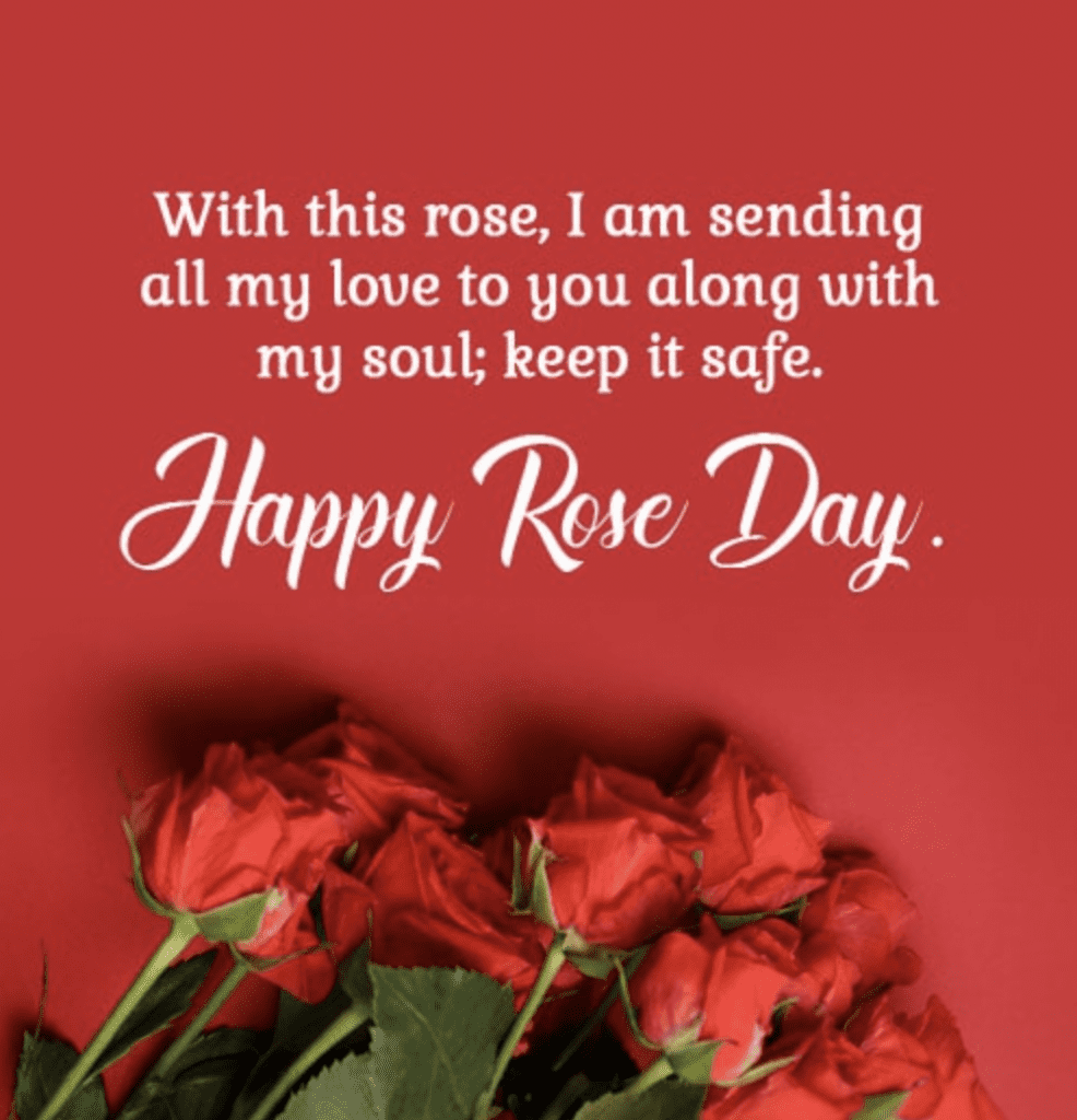 happy rose day to boyfriend